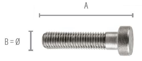 TORNILLO PARA MANILLAS